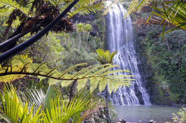 Auckland Regional Parks