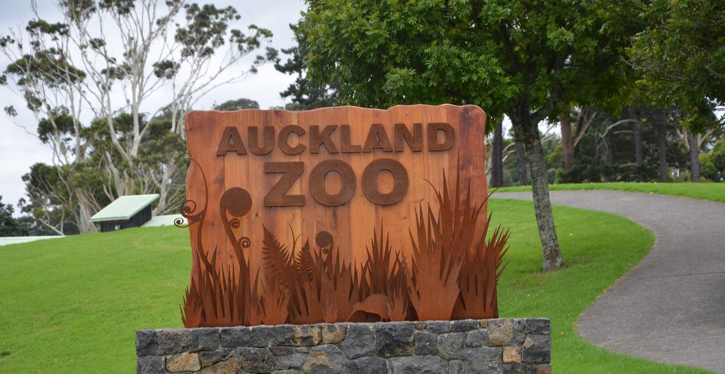 Auckland Zoo Prices