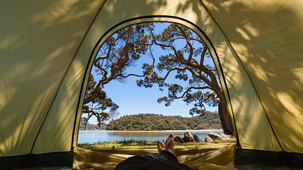 Glamping Auckland